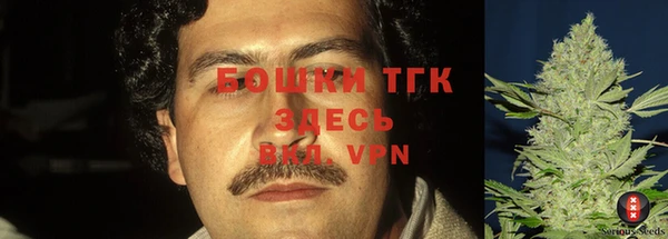 гашик Балахна