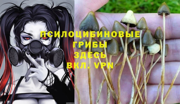 гашик Балахна