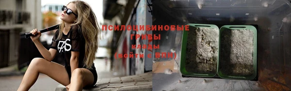 гашик Балахна