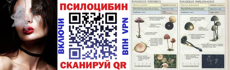 Галлюциногенные грибы Cubensis  дарк нет какой сайт  Нязепетровск 